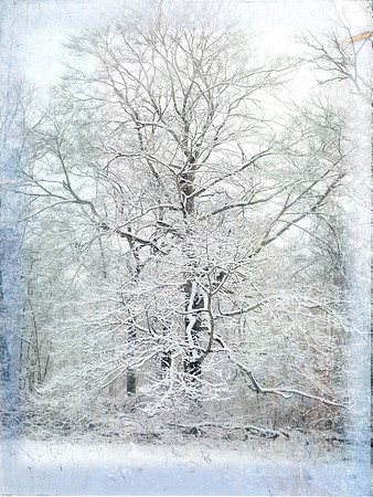 Winter Snow up Canaan Lands